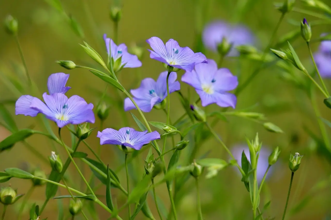 Kan linoliemaling bruges i vådrum eller områder med høj luftfugtighed?
